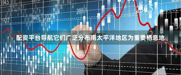 配资平台导航它们广泛分布南太平洋地区为重要栖息地