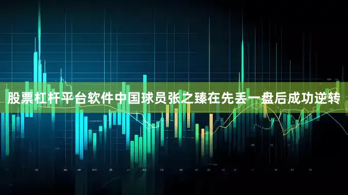 股票杠杆平台软件中国球员张之臻在先丢一盘后成功逆转