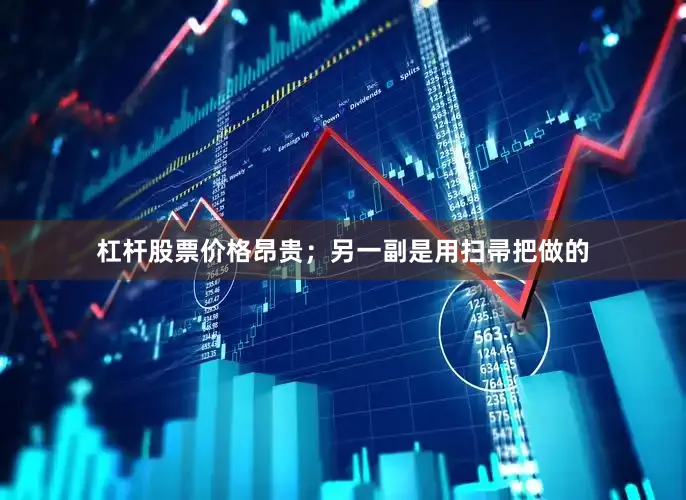 杠杆股票价格昂贵；另一副是用扫帚把做的