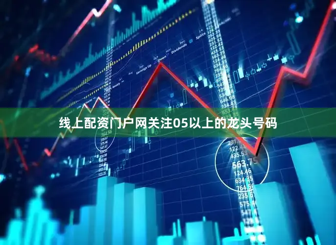 线上配资门户网关注05以上的龙头号码